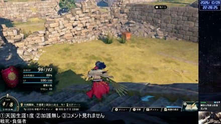 【実況】愛に生きるファイアーエムブレム万紫千紅 part22 レダ編