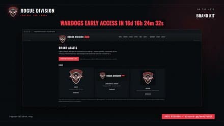 Rogue Division Team